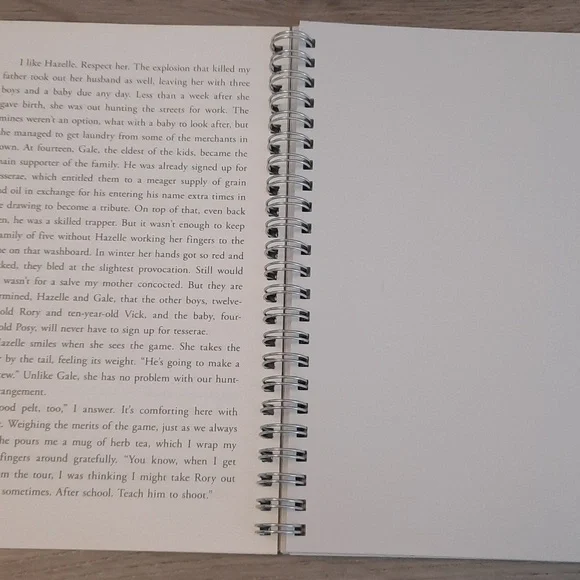 Secret Journal "Catching Fire" - Picture 2 of 6